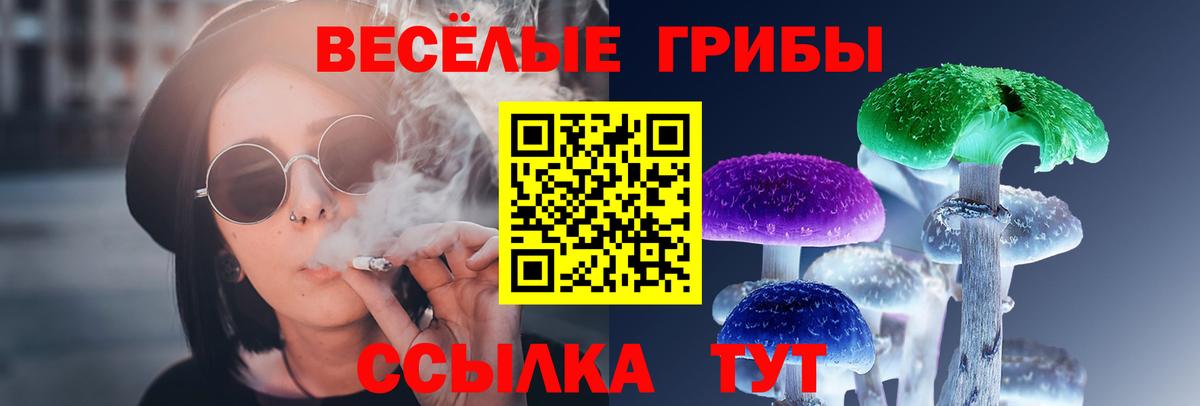 купить  цена  Вход с VPN  Зима  Галлюциногенные грибы MAGIC MUSHROOMS 